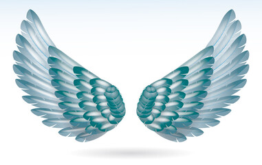 Fototapeta na wymiar realistic rainbow angel wings isolated - 3d illustration
