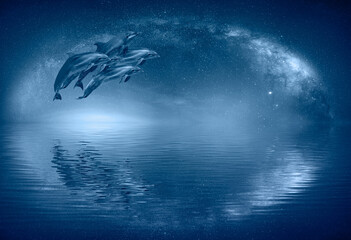 Naklejka na ściany i meble Couple jumping dolphins with Milky Way galaxy 