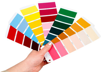 Hand Holding Color Palettes - Isolated