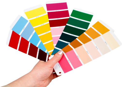 Hand Holding Color Palettes - Isolated