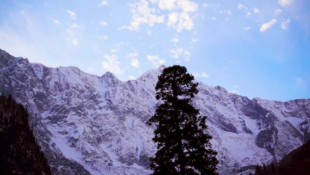 tracking shot of snow covered himalaya mountains with coniferous trees in front and a blue snowy sky showing manali, lahaul, spiti and leh tourist place in India