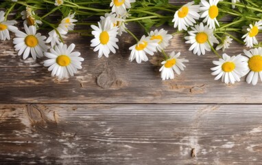 White daisies on a wooden background. Top view. Generative AI