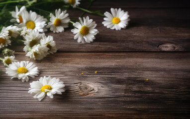 Chamomile flowers on a wooden background with copy space. Generative AI