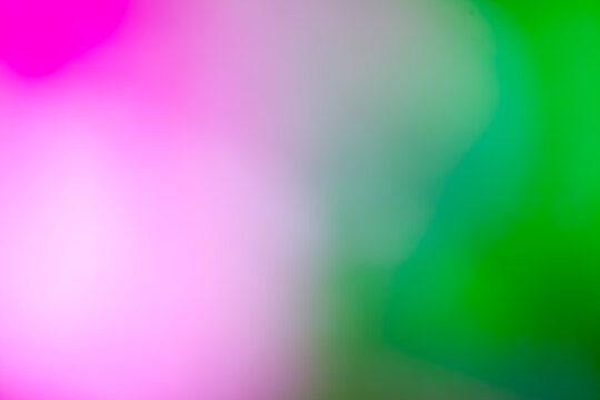 Concept de fond multicolore - d&eacute;grad&eacute; de couleurs naturelles de fleurs par flou artistique et hyper macro 