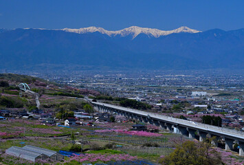 Peach trees are in full blossom and the Linear Shinkansen is running against the background of Sothern Japan Alps in Fuefuki Shangri-la