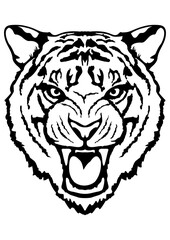 Roaring tiger outline, vector illustration. Wodland animal icon isolated