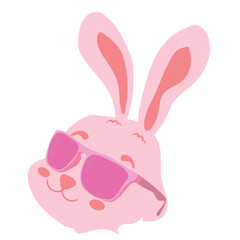 Cute rabbit with sunglasses