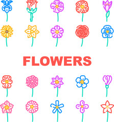 flower spring floral blossom icons set vector