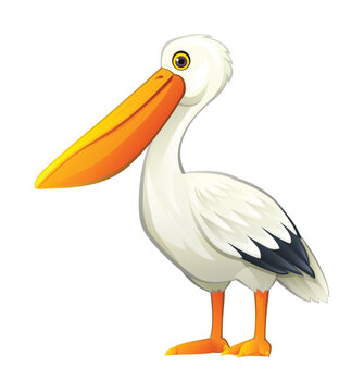 recommend clip art: Cute pelican cartoon illustration isolated on white background