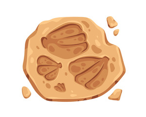 Fossil rock with sea shell imprint. Archaeology prehistoric fossilized art on old ancient mineral stone, natural footprint of seashell. Flat cartoon vector illustration isolated on white background
