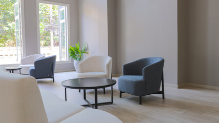 Living room with Armchair. Sofa and chair decoration in living room interior. Business interior in a office.