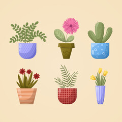 Flowers in pots. Home plants. Set of multicolored vector illustrations. Bright colors.