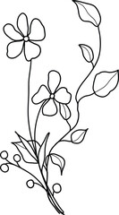 Linear wildflowers bouquet. Summer meadow line art wildflowers, herbs and stems. 