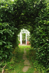 Photograph of a passageway in a hedge to a garden greenhouse