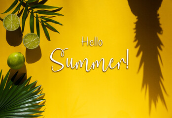 Summer Flat Lay, Tropical Fruits, Text Hello Summer