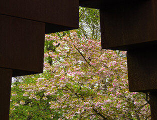 The beauty of nature blooming through the frame of a built structure in Hollands famous Keukenhof botanical garden.