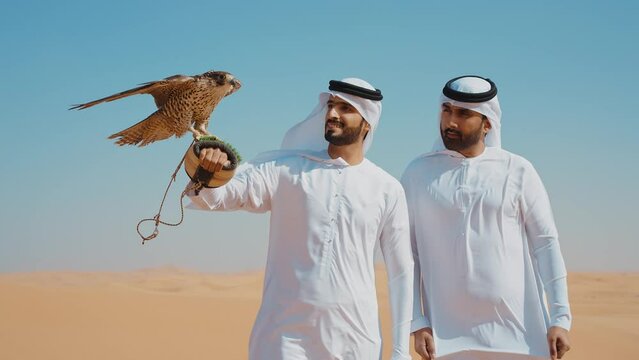 Falconer training his falcon bird in the desert of Dubai. Locals spending time on the dunes in Sharjah. Concept about traveling in the united arab emirates