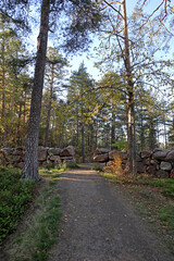 Wooden footpath in the Monrepos natural park near Vyborg, Russia. Walking sidewalk made of wooden planks and bright autumn landscapes of the unique northern nature.