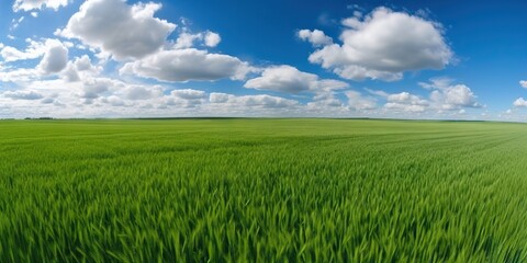 Obraz premium Empty green field and blue sky with rare clouds. Generative AI