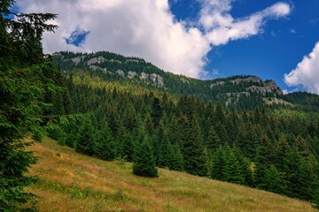 Hill Ohniste in Low Tatras mountains, Slovakia. Mountain tourism, healthy lifestyle