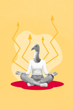 Vertical collage picture of black white effect girl swan head sit crossed legs meditate growing arrows upwards isolated on beige background