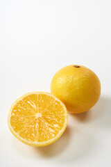 柑橘　湘南ゴールド　白背景