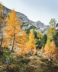 Autumn in the Dolomites Italy 