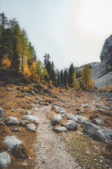 Autumn in the Dolomites Italy 