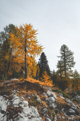 Autumn in the Dolomites Italy 