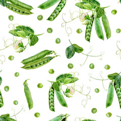 Watercolor seamless pattern with fresh green pees background, closeup, botanical illustration.