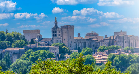 Fototapeta na wymiar View of Papal Palace of Avignon town. France