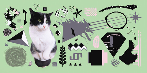Contemporary digital collage art. Modern anti-design. Chaos abstraction, geometry and kitty pet