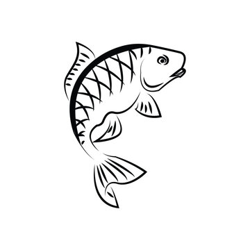 Fish Line Drawing Stock Photos - 101,126 Images