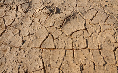 Dry cracked red clay in the desert in the bed of a dried up water stream, Egypt