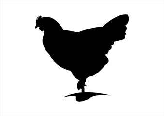 Fototapeta na wymiar vector illustration of a hen silhouette