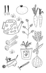 Vegetables and garden equipment, line art