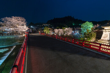 230404中橋夜桜S013
