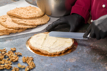 Esterhazy cake. Cake Decoration. Creamy Mousse