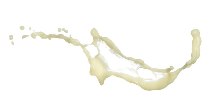 Tofu Soybean soymilk pour fall down in line shape form. Soybean milk from tofu spill splash in droplet as paint color. White background isolated high speed shutter freeze motion