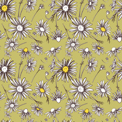 Chamomile vector illustration, seamless pattern. Daisy wheel flowers with yellow veins on a green background. Design for fabric, wallpaper, wrapping paper.