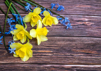 Yellow Narcissus Flowers on wooden background with copy space