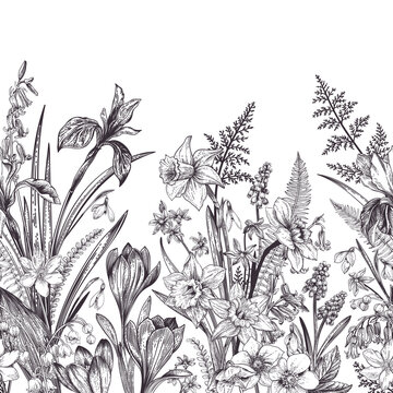 Seamless border with spring flowers. Botanical illustration. Black and white. Iris, snowdrop, lily of the valley, narcissus, muscari, hellebore, crocus.