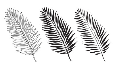 Fototapeta premium Set of three tropical leaves. Outline and silhouette flat tropical leaves.
