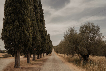 Paisajes italianos de la toscana