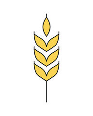 Vector linear icon of wheat ear isolated on white. Emblem, logo design, symbol illustration of farm whole grain for bakery, organic bio product, eco business, brewery craft beer, agriculture