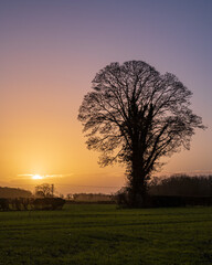 Norwich winter countryside 