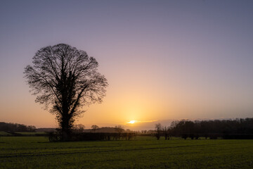 Norwich winter countryside 
