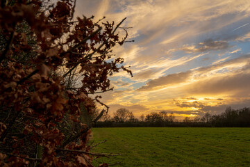 Norwich winter countryside 