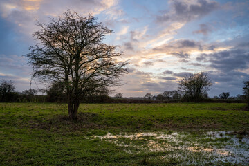 Norwich winter countryside 