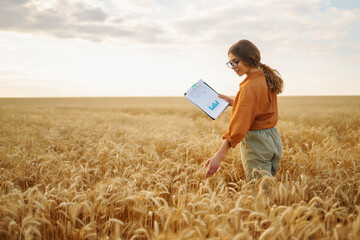 Naklejka na ściany i meble Young woman agronomist in a wheat field with a tablet in her hand checks the yield. The farmer evaluates the quality of the seeds and the growth progress of the wheat field. Agriculture.